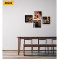 CANVAS PRINT SET DRINKS WITH TASTY SNACKS - SET OF PICTURES - PICTURES