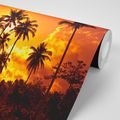 SELF ADHESIVE WALLPAPER COCONUT PALMS ON THE BEACH - SELF-ADHESIVE WALLPAPERS - WALLPAPERS