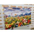 CANVAS PRINT OIL PAINTING WILD FLOWERS - PICTURES FLOWERS - PICTURES