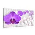 CANVAS PRINT ORCHID ON AN ABSTRACT BACKGROUND - PICTURES FLOWERS - PICTURES