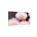 CANVAS PRINT DANDELION ON A DARK BACKGROUND - PICTURES FLOWERS - PICTURES