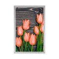 POSTER ORANGE TULPEN AUF HÖLZERNEM HINTERGRUND - BLUMEN - POSTER