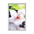 POSTER JAPANISCHE ORCHIDEE - FENG SHUI - POSTER