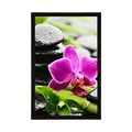 POSTER WELLNESS-STILLLEBEN MIT LILA ORCHIDEE - FENG SHUI - POSTER