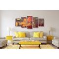 5-PIECE CANVAS PRINT ORANGE LILY BLOSSOM - PICTURES FLOWERS - PICTURES