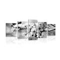 5-PIECE CANVAS PRINT CHERRY BLOSSOM IN BLACK AND WHITE - BLACK AND WHITE PICTURES - PICTURES