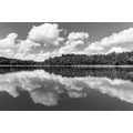 CANVAS PRINT NATURE IN SUMMER IN BLACK AND WHITE - BLACK AND WHITE PICTURES - PICTURES