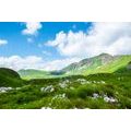 CANVAS PRINT VALLEY IN MONTENEGRO - PICTURES OF NATURE AND LANDSCAPE - PICTURES