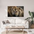 OBRAZ LVÍ LÁSKA V DIVOČINĚ - OBRAZY LVI A TYGŘI - OBRAZY