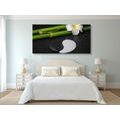 QUADRO NATURA MORTA SPA CON SIMBOLO YIN E YANG - QUADRI FENG SHUI - QUADRI