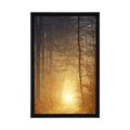 POSTER LICHT IM WALD - NATUR - POSTER