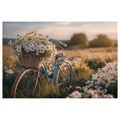 WANDBILD FAHRRAD MIT BLUMEN AUF DER WIESE - BILDER - 🔥 TOTALAUSVERKAUF