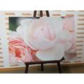 CANVAS PRINT FULL OF ROSES - PICTURES FLOWERS - PICTURES