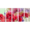 5-PIECE CANVAS PRINT BEAUTIFUL SKETCHED POPPIES - PICTURES FLOWERS - PICTURES