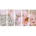 5-PIECE CANVAS PRINT LILY ON AN OLD DOCUMENT - STILL LIFE PICTURES{% if product.category.pathNames[0] != product.category.name %} - PICTURES{% endif %}