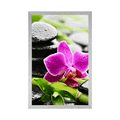 PLAKAT WELLNESS MARTWA NATURA Z FIOLETOWĄ ORCHIDEĄ - FENG SHUI - PLAKATY