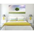CANVAS PRINT LONELY TREE ON THE MEADOW - PICTURES OF NATURE AND LANDSCAPE{% if product.category.pathNames[0] != product.category.name %} - PICTURES{% endif %}