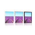 POSTER ENDLESS LAVENDER FIELD - NATURE - POSTERS