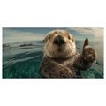 WANDBILD WASSERSPASS MIT OTTER - BILDER TIERE - BILDER