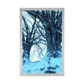 POSTER WINTEREINBRUCH - NATUR - POSTER