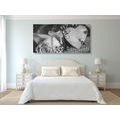 CANVAS PRINT ROSE AND A HEART IN VINTAGE BLACK AND WHITE - BLACK AND WHITE PICTURES - PICTURES