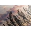 CANVAS PRINT BLADES OF FIELD GRASS - PICTURES OF NATURE AND LANDSCAPE - PICTURES