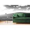 SELF ADHESIVE WALL MURAL BEAUTIFUL DAY ON THE MEADOW IN BLACK AND WHITE - SELF-ADHESIVE WALLPAPERS - WALLPAPERS