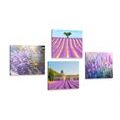 CANVAS PRINT SET LAVENDER BEAUTY - SET OF PICTURES - PICTURES