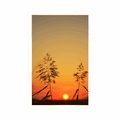 POSTER GRASHALME BEI SONNENUNTERGANG - NATUR - POSTER