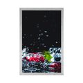 POSTER FRUIT ICE CUBES - WITH A KITCHEN MOTIF - POSTERS