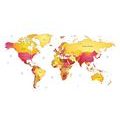 DECORATIVE PINBOARD WORLD MAP IN COLORS - PICTURES ON CORK - PICTURES