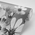 WALLPAPER FLOWERS IN BLACK AND WHITE - BLACK AND WHITE WALLPAPERS - WALLPAPERS