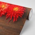 WALL MURAL DAHLIA FLOWERS ON WOOD - WALLPAPERS FLOWERS - WALLPAPERS