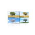 CANVAS PRINT TREE IN SEASONS - PICTURES OF NATURE AND LANDSCAPE - PICTURES
