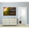 CANVAS PRINT TWO FORMS OF A TREE - PICTURES OF NATURE AND LANDSCAPE - PICTURES