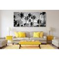 5-PIECE CANVAS PRINT OF COCONUT TREES ON A BEACH IN BLACK AND WHITE - BLACK AND WHITE PICTURES - PICTURES