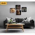 CANVAS PRINT SET WILD ANIMALS - SET OF PICTURES - PICTURES