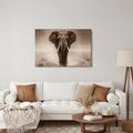 OBRAZ MAJESTÁTNÍ SLON V SAVANĚ - OBRAZY SLONI - OBRAZY