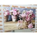 CANVAS PRINT ROMANTIC PINK CARNATION IN A VINTAGE TOUCH - VINTAGE AND RETRO PICTURES - PICTURES