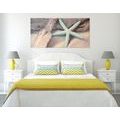 CANVAS PRINT STARFISH ON THE BEACH - STILL LIFE PICTURES - PICTURES