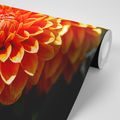 SELF ADHESIVE WALL MURAL ORANGE DAHLIA - SELF-ADHESIVE WALLPAPERS - WALLPAPERS