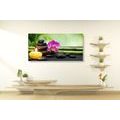 CANVAS PRINT FENG SHUI STILL LIFE - PICTURES FENG SHUI - PICTURES