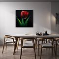 OBRAZ KVĚT TULIPÁNU V NOCI - OBRAZY TULIPÁN - OBRAZY