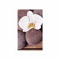 PLAKAT Z PASSE-PARTOUT KAMIENIE WELLNESS I ORCHIDEA NA DREWNIANYM TLE - FENG SHUI - PLAKATY