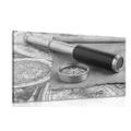 CANVAS PRINT FOR AN ADVENTURER IN BLACK AND WHITE - BLACK AND WHITE PICTURES - PICTURES