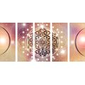 5-PIECE CANVAS PRINT CHARMING MANDALA - PICTURES FENG SHUI - PICTURES