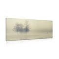 QUADRO ALBERI NELLA NEBBIA - QUADRI DI NATURA E PAESAGGIO - QUADRI