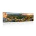 CANVAS PRINT NATURE BATHED IN SUNLIGHT - PICTURES OF NATURE AND LANDSCAPE - PICTURES