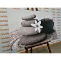 WANDBILD BLUME UND STEINE IM SAND IN SCHWARZ-WEISS - SCHWARZ-WEISSE BILDER - BILDER