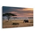 WANDBILD AFRIKANISCHE DÄMMERUNG MIT WILDNIS - BILDER VON ELEFANTEN - BILDER